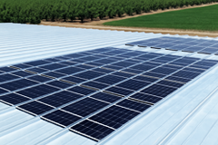 upload/media/products/SunSteel-USA-New Buildings.png